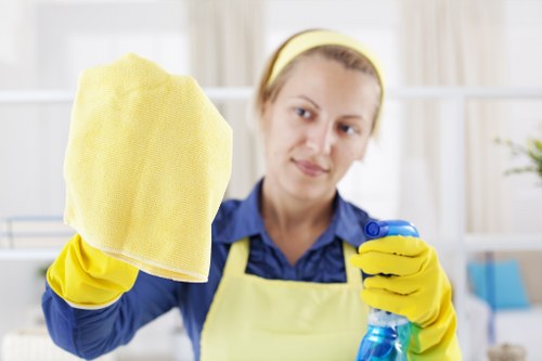 Deep cleaning and after-builders cleaning services in W11