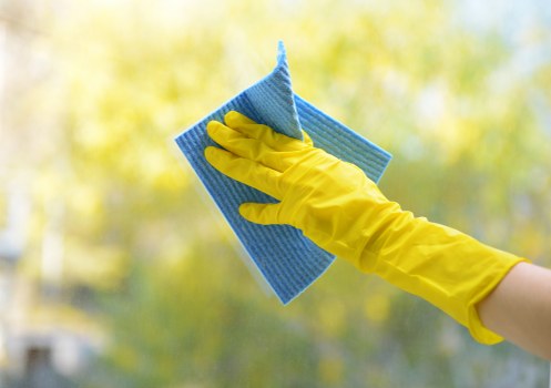 Carpet cleaning in a W11 home interior