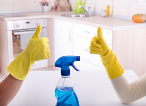 Carpet cleaning team supporting homes and businesses in W11