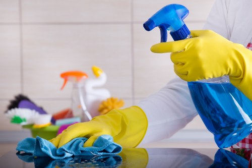 Fabric care options including rugs and upholstery
