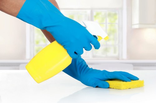Seasonal deep cleaning in W11 for a refreshed home