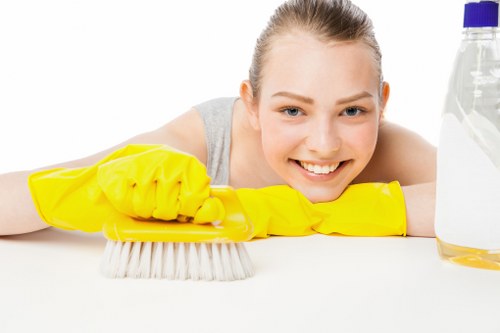 Cleaning product and safety procedures for carpet cleaning