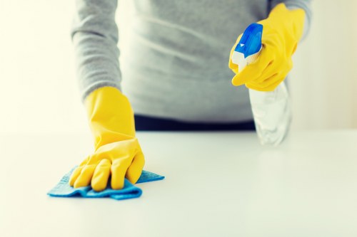 Cleaner in W11 sanitizing a modern kitchen