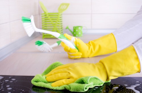 Bathroom sanitising as part of one off cleaning in W11