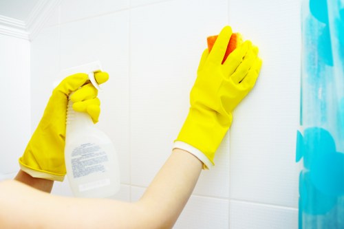 Treating traffic lanes and stains on a carpet