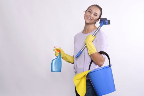 Carpet Cleaners W11 secure payments section with card and PayPal options