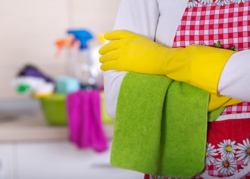 Professional carpet cleaning equipment in W11