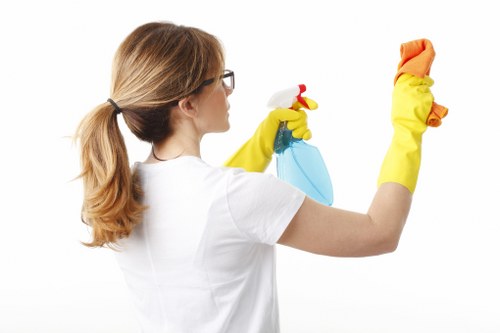 Accessibility support message for Carpet Cleaners W11 website