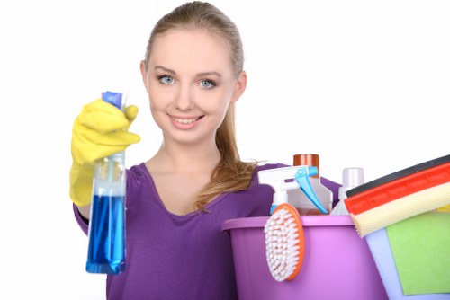Clean and refreshed carpet flooring in a property